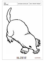 Köstebek boyama sayfaları